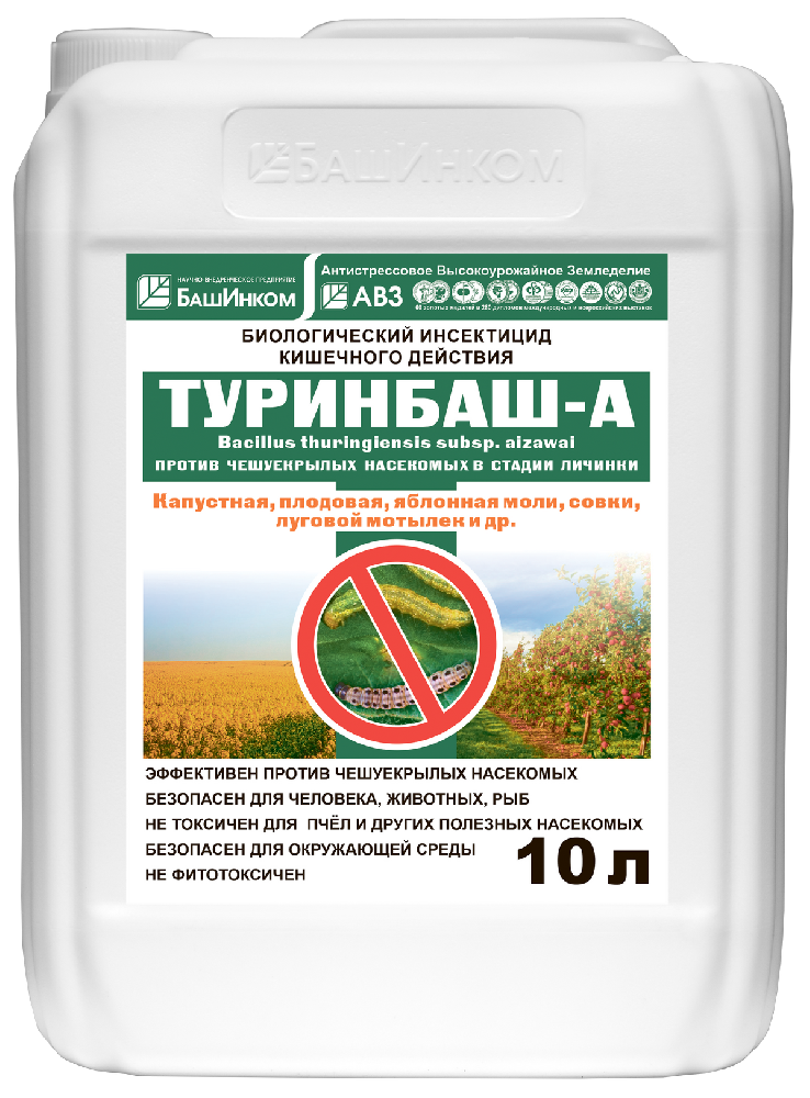 Туринбаш-А Туринбаш-А